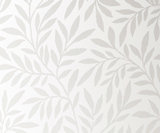Oriel Laurel